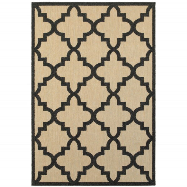 7' X 10' Geometric Stain Resistant Indoor / Outdoor Area Rug - Beige / Black