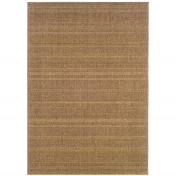 9' X 13' Stain Resistant Indoor / Outdoor Area Rug - Tan