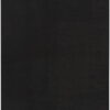 10' X 14' Stain Resistant Indoor / Outdoor Area Rug - Black - Image 4