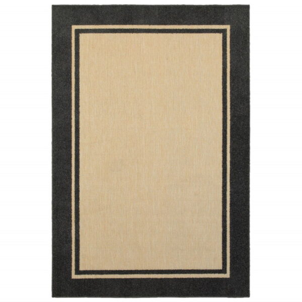 Indoor Outdoor Area Rug - Beige / Black