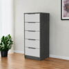 Five Drawer Standard Chest - White / Gray - Image 3