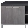 Cabinet Enclosed, Storage TV Stand - Black / Gray - Image 4