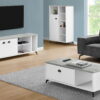 Cabinet Enclosed, Storage TV Stand - White - Image 3